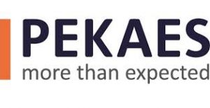 Logotyp Pekaes wskazujący artykuł Integracja z Pekaes